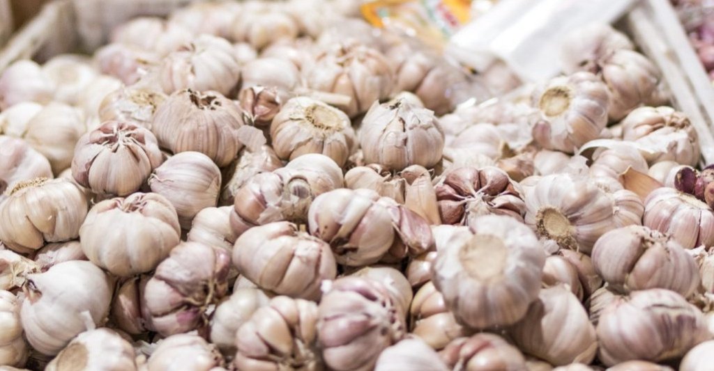 F&ecirc;te de l'ail &agrave; Piolenc.