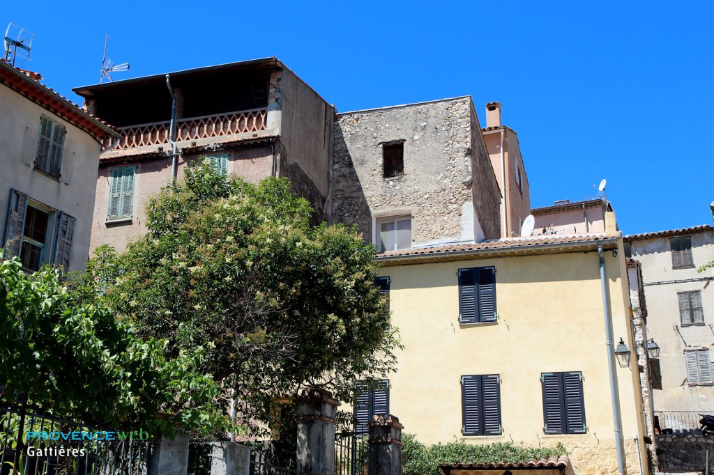 Gatti&egrave;res dans les Alpes Maritimes.