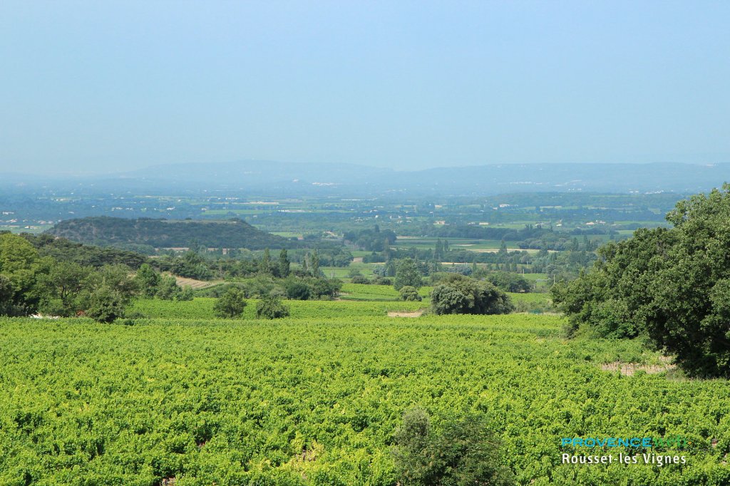 Vignoble &agrave; Rousset les Vignes.