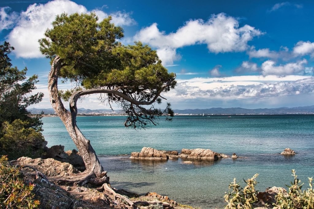 La presqu'&icirc;le de Giens.