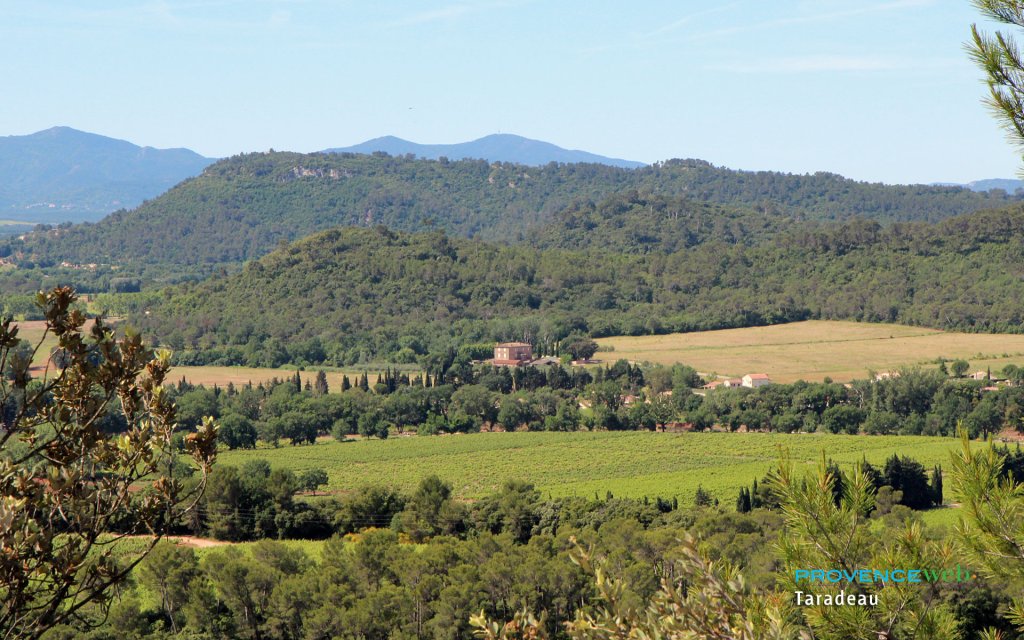 vignobles Taradeau.