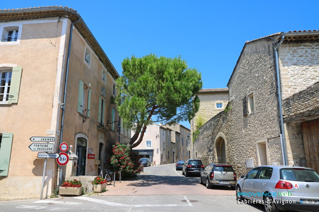 Cabri&egrave;res d'Avignon dans le Vaucluse.